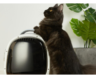 PetKit Breezy 2-W plecak transportowy dla zwierząt - kremowy - 1606126 - zdjęcie 5